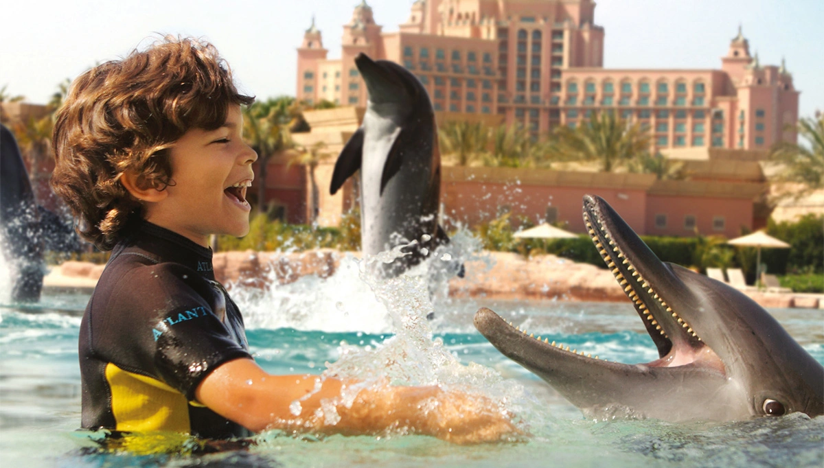 Say Hello to Dolphins at Dolphin Bay at Atlantis the Palm